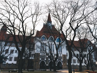 IMG_0208.JPG